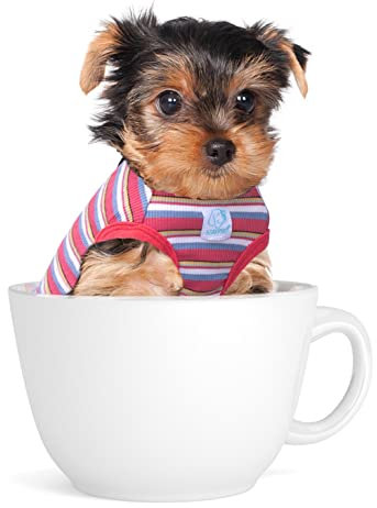 SZAT PRO Striped Teacup Pet Dog T-Shirts, 100% Cotton Tank Vest for Small Dogs and Cats, Sleeveless Puppy Clothes for Chihuahua Yorkie Red,2X-Small