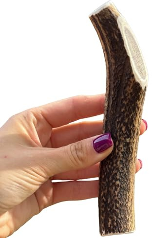 Antler Chew – Large Antler Dog Chew (130–180g, From 13cm) | Naturally Shed & Sanded | Long-Lasting, Odourless Chew for Moderate Chewers | Supports Dental Health
