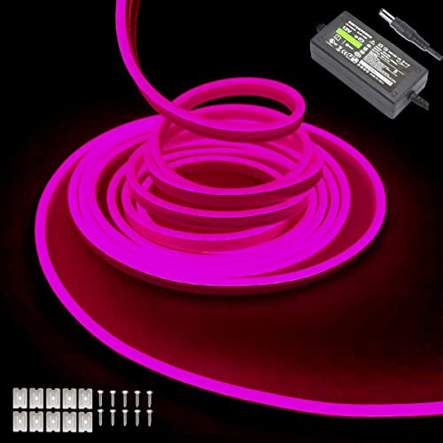 Balabaxer Striscia luminosa Rosa al neon, 16.4ft/5m 12V DC 600 SMD2835 LED impermeabile, per la decorazione interna ed esterna