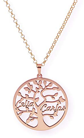 Colgante de plata Árbol de la Vida personalizable con nombres - Regalos para mujer, San Valentín, Día de la Madre (Dos nombres, Plata bañada en oro rosa)