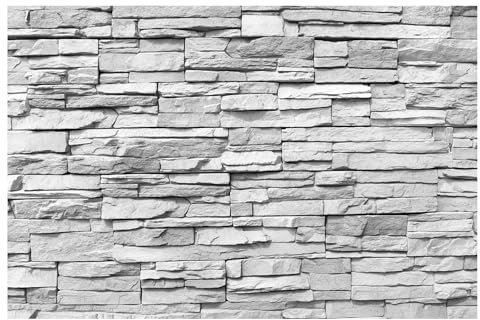 Bilderwelten Fototapete Steinoptik 290cm x 432cm Modern Stein-Wand Steintapete Grau Vliestapete Tapete Wanddeko Ideen Wohnzimmer Schlafzimmer Küche