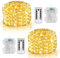 DBFAIRY 2 Pack Fairy Lights Battery Operated with Remote Control, 10M 100 LED Twinkle Lights Waterproof Silver Wire String Lights 8 Modes Dimmable for Bedroom Party Decoration (Warm White)