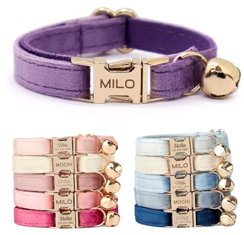 CHRYMPETIC Nicht Abnehmbares Samt Katzenhalsband Personalisiert mit Namen - Personalisierbares Halsband mit Glöckchen und Fliege Verfügbar (Violett)