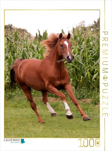 CALVENDO Puzzle EIN Motiv aus dem Kalender Pferde ... fliegen ohne Flügel | 1000 Teile Lege-Größe 48 x 64 cm Foto-Puzzle für glückliche Stunden