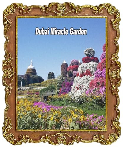 Dubai Miracle Garden United Arabische Emirate Touristen-Souvenir Kühlschrankmagnet Kühlschrank-Dekorationen Magnet
