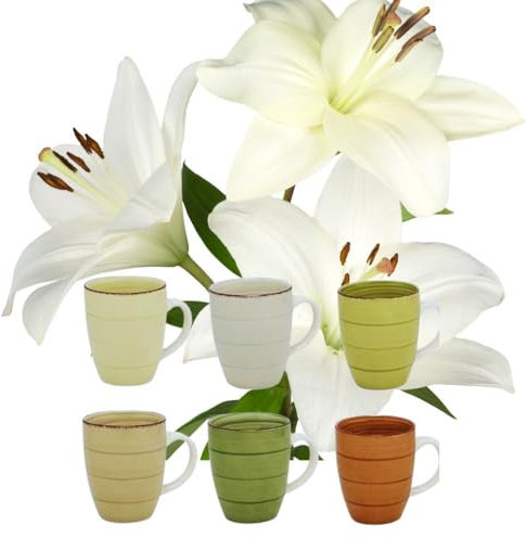 Autumn & Winter Tableware Combination Service Tableware Set Dinner Service Coffee Service Porcelain Tableware UNI (Set of 6 Coffee Cups)