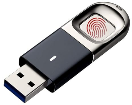 32G 64G 128Gb 256Gb crypté reconnaissance d'empreintes digitales clé USB ordinateur clé USB,32GB
