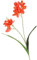Künstliche Freesien, künstliche Blumen, Blumenarrangement, Dekoration, Schrank, Ecktisch, DIY-Vasen-Dekoration, Weihnachtskranz (orange)