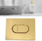 Actuator Plate Toilet Flush Release 2 Quantity and Start & Stop Operation for Small Inspection Shaft Vertical Mounting (Light Gold)