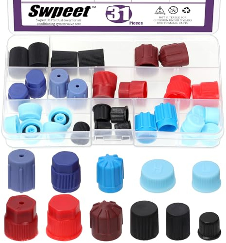 Swpeet 31Pcs 11 Tailles A/C Kit de Bouchons de Noyau de vanne, Couverture de poussière du Noyau de la vanne du système de climatisation Automatique, Capuchons de Port de Charge du système AC de