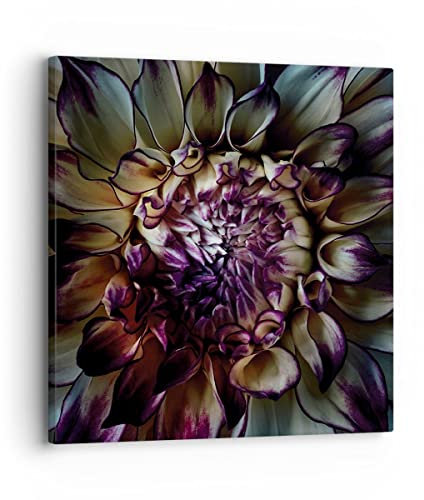 Bilder auf Leinwand Blätter Agave Blume Leinwandbild mit Rahmen 30x30cm Wandbilder Dekoration Wohnzimmer Schlafzimmer Küche Deko Klein Wanddeko Bild Wand Kunstdruck Art Wall Decor Canvas AC30x30-5122