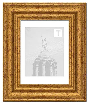 Barock-Bilderrahmen Margaux Gold Antik 50 x 100 cm Echtglas Antireflex 2mm massiv elegant stabil