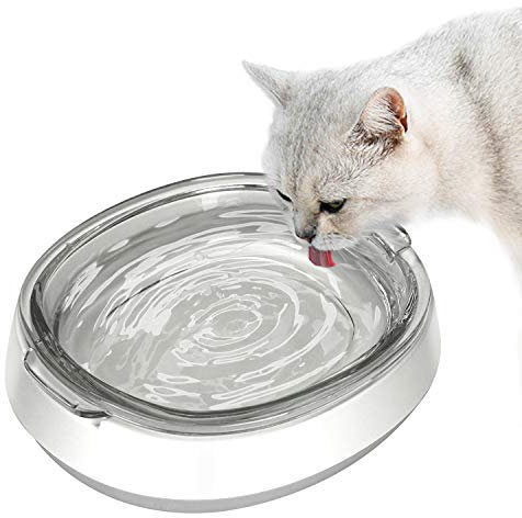 Small Glass Cat Food Bowls, Shallow Water Bowl for Cats Kitties Puppy and Small Dogs,Transparent Pet Feeding Bowl, Promotes Pet Hydration, Durable and Stable Design,Protect Pet's Spine,Dishwasher Safe