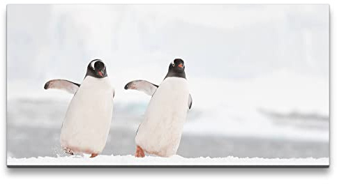 Paul Sinus Leinwandbild 120x60cm Tanzende Pinguine Schnee Winter Lustig schöne Tiere