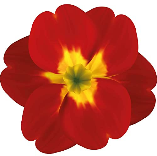 Kleberio Aufkleber Primel rot gelb Sticker Autoaufkleber wasserfest Blumen Mülltonne Blumenwiese Dekoration selbstklebend Fensterbild Fliesenaufkleber für Kinder und Erwachsene 19 x 20 cm