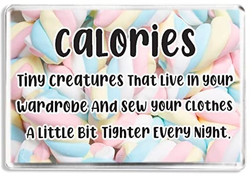 Calories Definition - Funny Diet Weight Loss Quote - Fridge Magnet - Novelty Gift