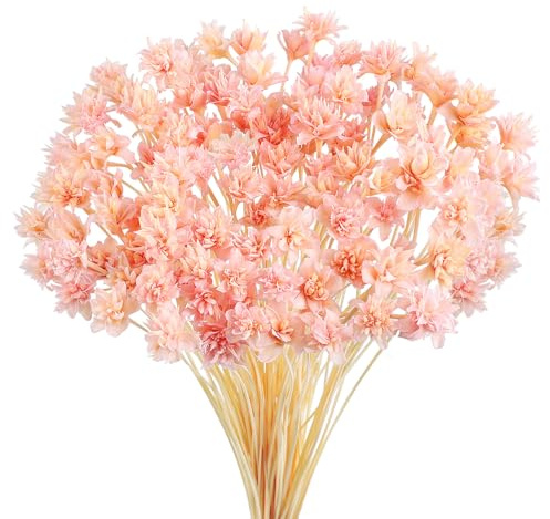 Larber 100PCS Getrocknete Blumen Brasilianische Bergblumen Blumen Mini Getrocknete Blumenstrauss Gänseblümchen Mini-Kamille Blumenstrauß für Blumenarrangement Hochzeit (Rosa)