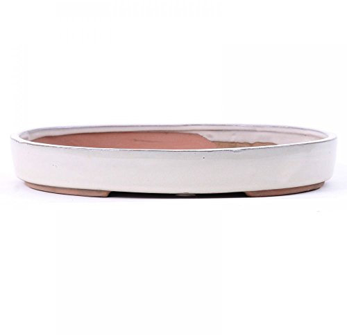 Bonsai - Schale, Waldschale, oval 25 x 18 x 4 cm Creme 51013