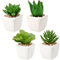 4PCS Kunstpflanze Künstliche Sukkulente Mini Zimmerpflanze im Keramiktopf Deko Badzimmer Tischdeko Haus Balkon Büro, 4er Set