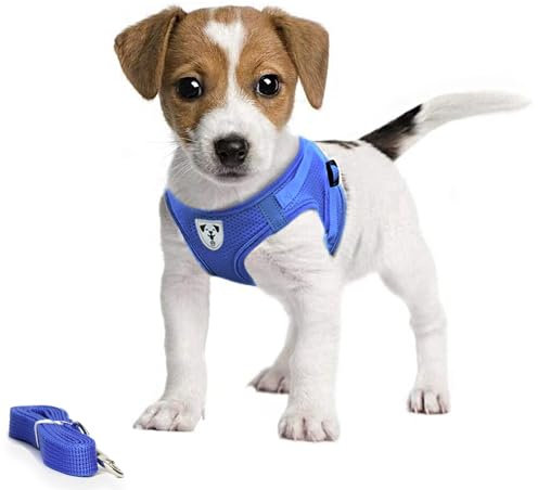 Pet's Playground Small Dog Harness | No Pull | Puppy | Dog Harness For Small Dogs | Harness for Small Dogs UK | Extra Small Dog Harness | Blue | XS