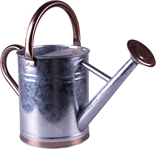St Helens Home and Garden 4 Litre Easy Hold Light Weight Metal and Bronze Watering Can For Outdoor and Indoor Use on Flowers and Gardens With Removeable Rose