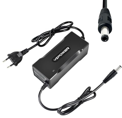YZPOWER Ladegerät für Roller, 24 V, 4 A, Ausgang 29,4 V, 117 W, schnelles Ladegerät für Elektroroller, E-Bike, Elektrorollstuhl, Anschluss DC 5,5 x 2,1 mm