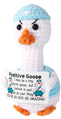 TOYMIS Positive Gans, 9 cm Doktor-Thema Arztmotiv Handgemachte Puppe mit Positiver Unterstützung Trägt Arztkleidung Lustige Häkelgans mit Inspirierender Karte Emotionales Geschenk