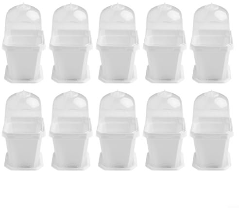 Cultivate Success Lot de 10 pots de fleurs en plastique avec dôme transparent pour croissance des plantes grasses Blanc 13,5 cm