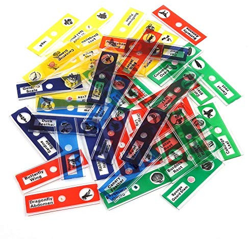 48Pcs Plastic Prepared Microscope Slides, Kids Plastic Prepared Microscope Slides of Animals Insects Plants Flowers Sample Specimens for Stereo Microscopes, Biology Specimen Science Education