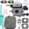 ZAMDOE C1Q-S68G Vergaser für Stihl BG45 BG46 BG55 BG65 BG85 SH55 SH85 Laubbläser C1Q-S68 4229 120 0606 Vergaser-Einstellsatz mit Kraftstoff Filter