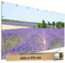 TRIOSK Sichtschutz Garten Dekoration Plane groß mit Motiv Lavendel Blüten Blumen Feld Motivbanner Blickdicht für Terrasse Zaun Gartenzaun Gartenposter PVC Zaunblende 340x173 cm