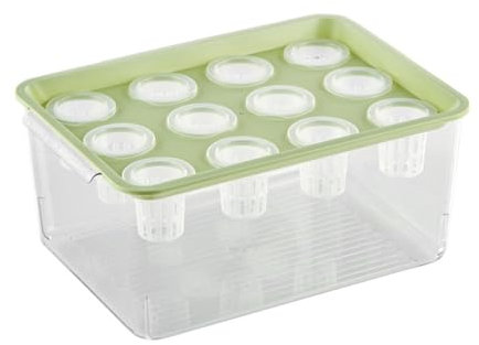 Porceosy Pflanzkasten mit Griff, zwölf Löcher, Hydrokulenten, transparent, 12 Deckel, Kunststoff, rechteckig, für Blumen, Sukkulenten, Behälter, Desktop, Aquarium, Grün