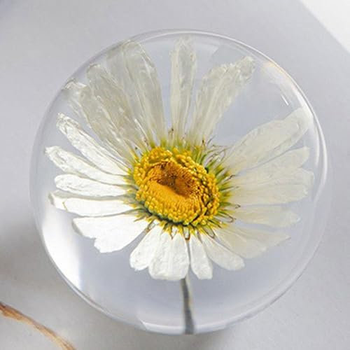 Wttagkl® Briefbeschwerer Löwenzahn, EIN Traumball. Kristall Wunschkugel. Einzigartiger Briefbeschwerer aus Löwenzahn, B*7cm