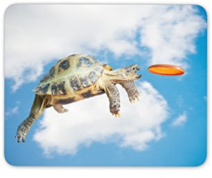 Cool Frisbee Tortue Tapis de Souris Tapis - Tortue drôle Animal Cadeau PC Ordinateur # 8315