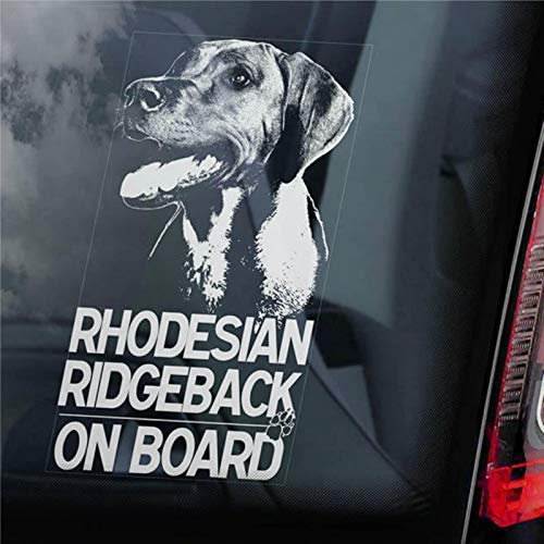 Rhodesian Ridgeback on Board Autoaufkleber afrikanischer Löwe Hund Schild Aufkleber Auto Aufkleber Vinyl Aufkleber Fenster Aufkleber Stoßstange Aufkleber