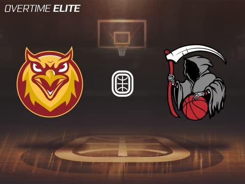 City Reapers - OSL Falcons