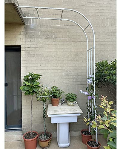 ZYFBD Metal Garden Half Arches Trellis - Wall Mounted Pergola for Roses Plants, Heavy Duty Support, Weather-Resistant Resin, 2.4M Height - Black - W60XH240cm