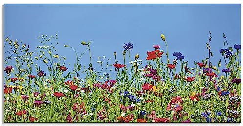 ARTland Wanddeko Glasbilder Wandbild Glas Bild einteilig 60 x 30 cm Pflanzen Gräser Blumen Farben Blumenwiese Garten Sommer T3PC