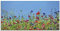 ARTland Wanddeko Glasbilder Wandbild Glas Bild einteilig 60 x 30 cm Pflanzen Gräser Blumen Farben Blumenwiese Garten Sommer T3PC