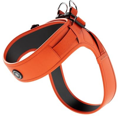 BullyBillows Boomerang Hundegeschirr leicht und Nicht einschränkend Einfach anzulegen und abzunehmen | Hochwertiges Hundegeschirr mit Klettverschluss | Orange | Extra Klein