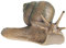 JOKFEICE Tierfiguren, realistische Kunststoff-Schnecke, Tier-Action-Modell, Wissenschaftsprojekt, Lernspielzeug, Geburtstagsgeschenk, Kuchenaufsatz für Kinder und Kleinkinder