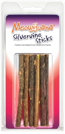 Meowijuana Silvervine Sticks | 4” Chew Sticks for Cats | Promote Healthy Chewing Habits and Dental Health | Freshly Harvested from Silverine Plants