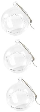 PRETYZOOM 3 STK Hängende Flasche Glas Hängender Pflanzer Glasvase Runde Vase Tischständer Luftfarn Hängende Terrarienschale Kerzenhalter Sukkulenten-Schale Im Glas Mikro Container Anlage