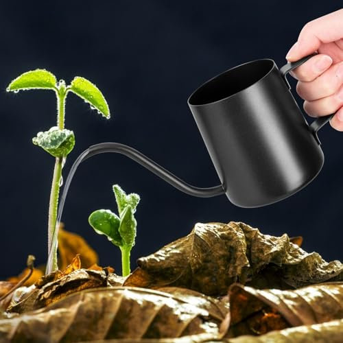 YHNDECO 250 ml Black Watering Can, Small Indoor Plants, Mini Watering Can, Stainless Steel Long Spout Watering Can, Garden Watering Can for Indoor Plants, Succulents