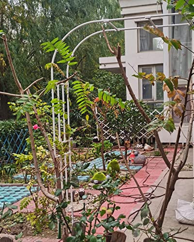 Arco da giardino per esterni Semi-Laterale Archi Pergolato in metallo mezzo arco 60x240x40cm 180x240x40cm 75x267x50cm 275x267x50cm, Nero/Bianco Sostegno Piante Rampicanti (Color : Bianco, Size : WxH