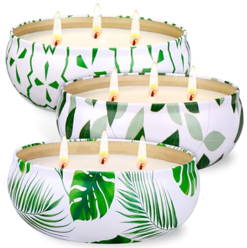Citronella Kerze Outdoor Groß 36oz, 3 Wicks Sojawachs Zitronengras Kerze Set, 240Std Brennzeit Große Sommer Jar Kerzen für Garten Picknick Terrasse Party Grill Camping