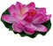 Künstliche schwimmende Lotusblüte, 17,8 cm, große künstliche Seerose für Pads, Teich, Pool, Lotus, Ornamente, perfekt für Garten, Aquarium, Zuhause, Hochzeitsdekoration, 1 Stück, Weiß (Licht für Rosa)