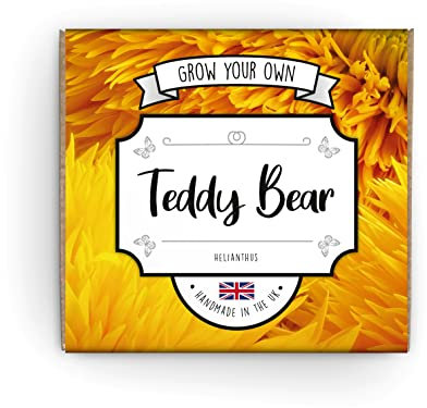 Grow Your Own Teddy Sunflower Kit - Complete Beginner Starter Kit | Easy Instructions | Made in UK | Perfect Gardening Gift for Any Occasion