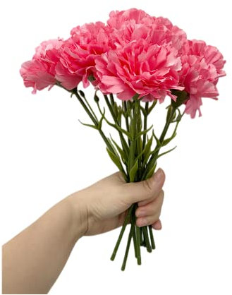 Mazzi di fiori artificiali da 27.9 cm, con 10 garofani, resistenti ai raggi UV, non sbiadiscono, mini petali di seta di garofano, piante finte, casa, feste e matrimoni (rosso)