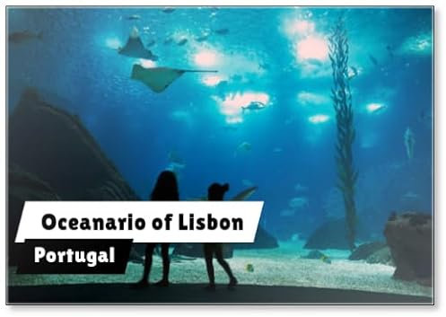 Kühlschrankmagnet Oceanario von Lissabon, Portugal, Europa